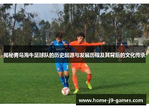 揭秘青岛海牛足球队的历史起源与发展历程及其背后的文化传承